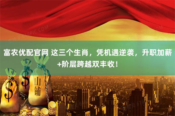 富农优配官网 这三个生肖，凭机遇逆袭，升职加薪+阶层跨越双丰收！